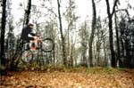 lasekw-junior-goes-moto-style