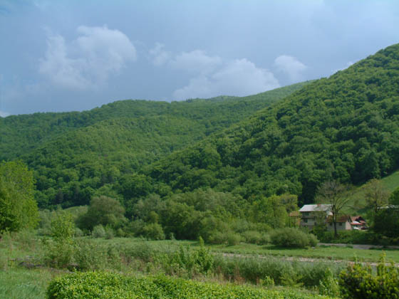 DSCF0575