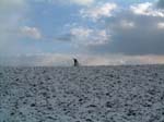 DSCF0088
