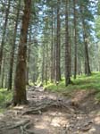 DSCF0059