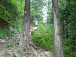 DSCF0015