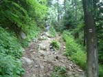 DSCF0033