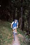Negative0-16-14(2)