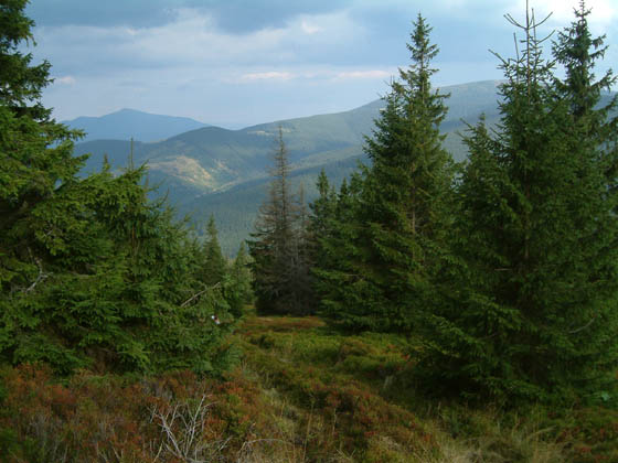 DSCF0056