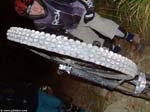 DSCF0241_g3r