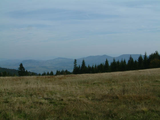 DSCF0063
