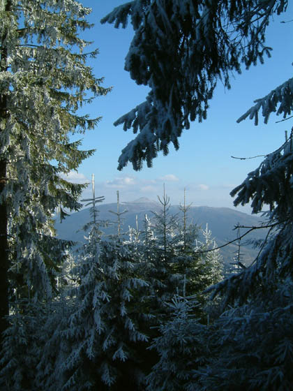 DSCF0071