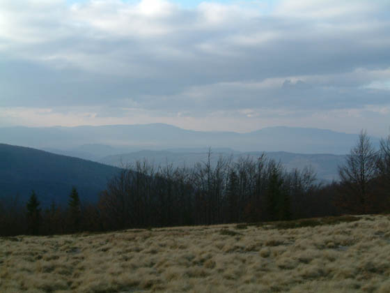 DSCF0031