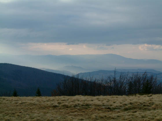 DSCF0042