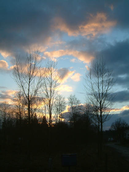 DSCF0048