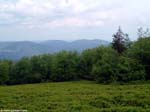 DSCF0064_g3r