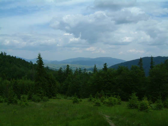 DSCF0017
