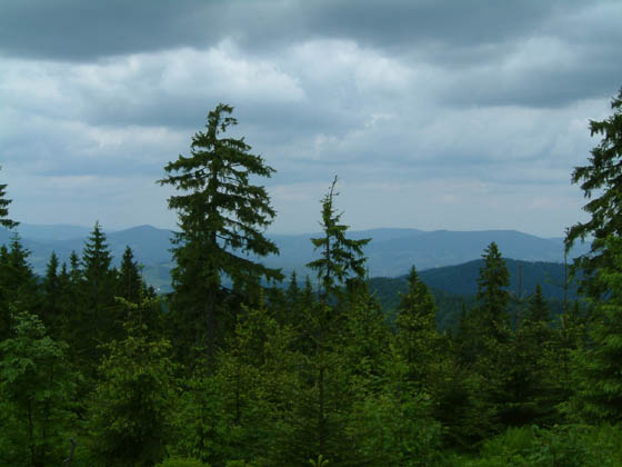 DSCF0047