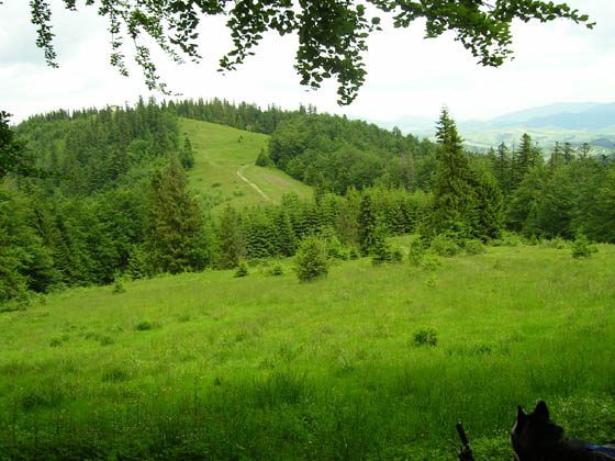 PICT0272