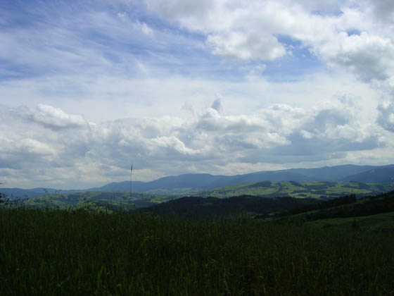 PICT0433