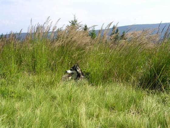PICT0793