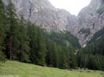 PICT2736_g3r