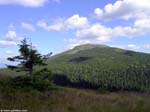 PICT0880_g3r