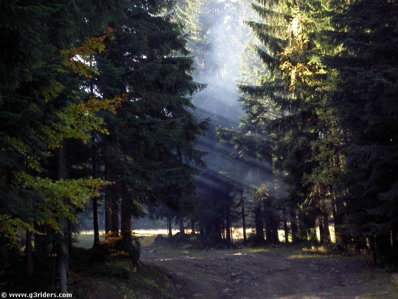 PICT0313_g3r