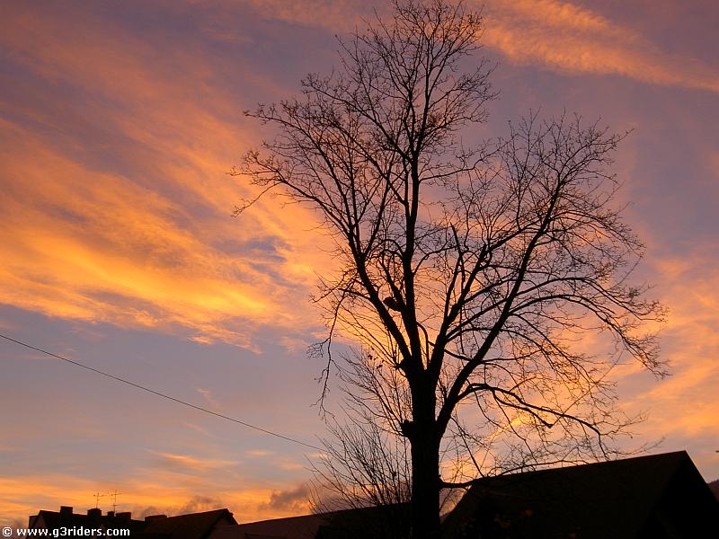 PICT0562_g3r