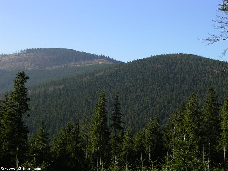 PICT2066_g3r