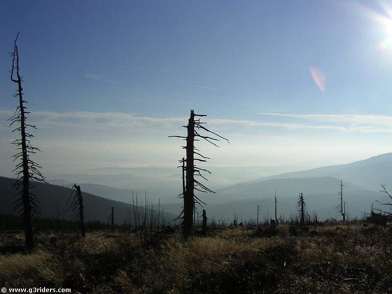 PICT2085_g3r