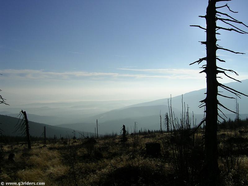 PICT2091_g3r