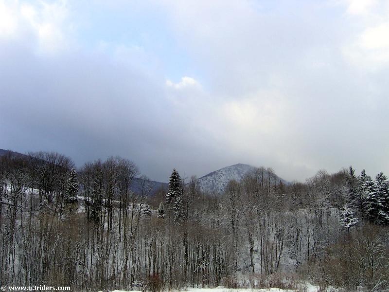 PICT2840_g3r