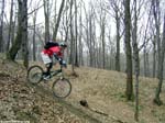 PICT3084_g3r