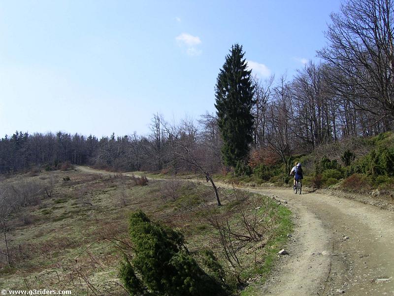 PICT3271_g3r