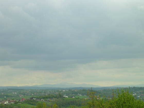 PICT3518