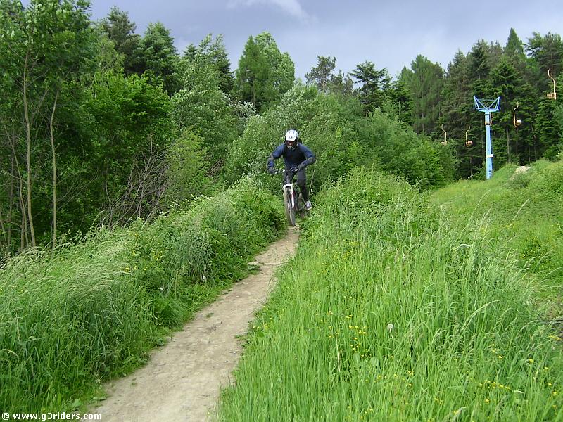 PICT3833_g3r