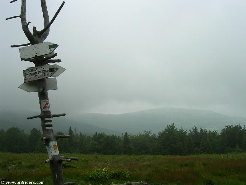 PICT4081_g3r