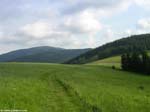 PICT4099_g3r