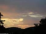 PICT4113_g3r