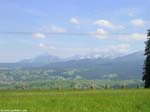 PICT4170_g3r