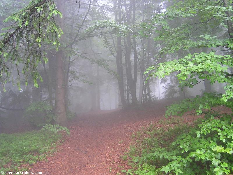 PICT4300_g3r
