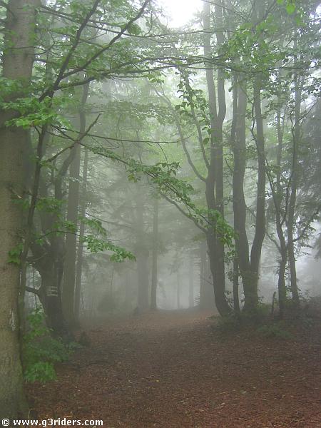 PICT4301_g3r