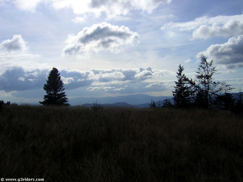 PICT5084_g3r