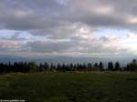 PICT5109_g3r