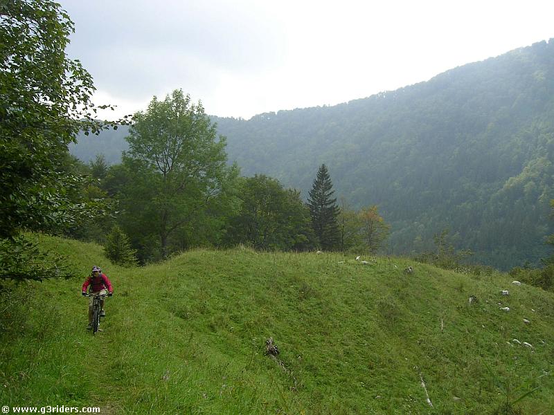 PICT5183_g3r