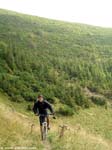 DSCN1454_g3r