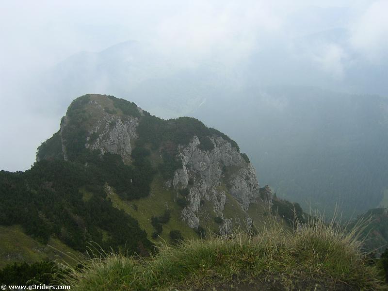 PICT5334_g3r