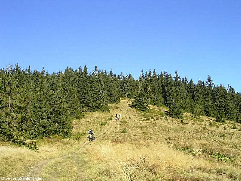 pod_lipowska_g3r