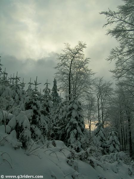DSCN2297_g3r