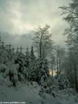 DSCN2297_g3r