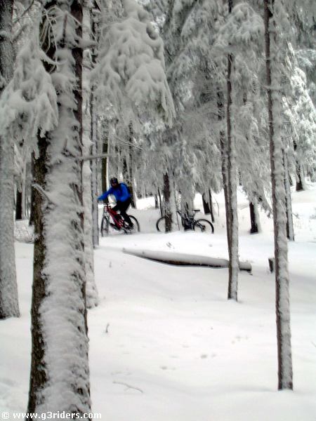 DSCN2521_g3r