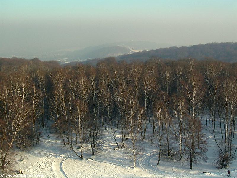DSCN2648_g3r