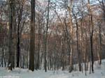 DSCN2633_g3r