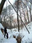 DSCN2653_g3r